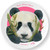 Be-Ve Kids Personalized Panda Plate for Children Meet Pandaboo Be-Ve Kids Personalized Panda Plate for Children Meet Pandaboo