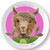 Be-Ve Kids Personalized Llama Plate for Children Meet Llama Lima