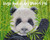  High Five Plant-Based Pal Panda Art Print 