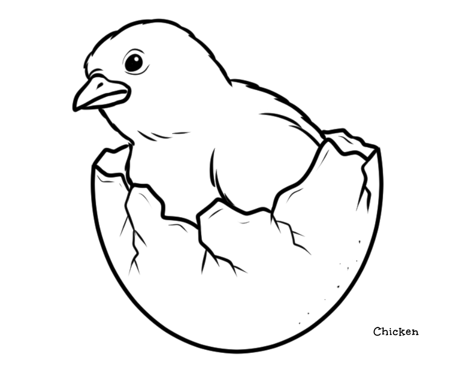 Chicken Egg