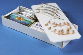 Max Bait Trays System Bait Cutting Boards TackleDirect