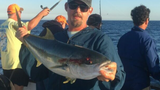 West Coast Yellowtail, Yellowfin & Bluefin Fishing Report