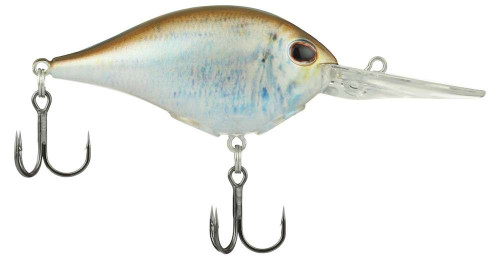 GOTOUR Fishing Lures for Bass, Pre-Rigged Soft India | Ubuy