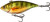 LIVETARGET Yellow Perch Rattlebait - 2in