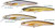 LIVETARGET Lures Rainbow Smelt Jerkbait RS91S Shallow Dive 3-5/8in