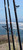 Lamiglas LCS10MHS Carbon Surf Rod - 10 ft.