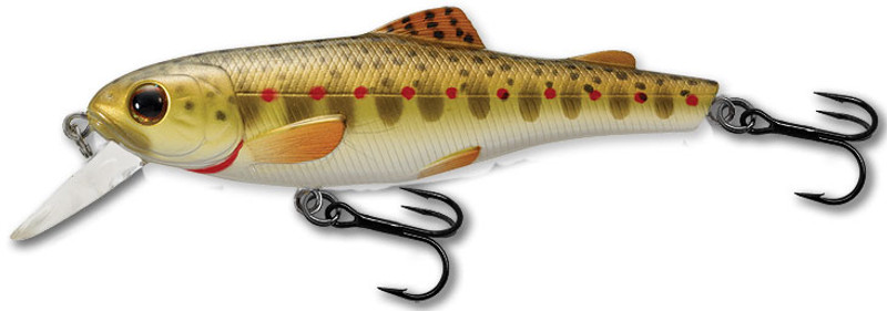 Rainbow Trout MANG - LS - M / Sage