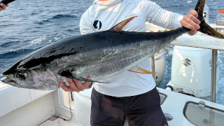 Using Hawaiian Trolling Techniques for Northeast Tuna - On The Water