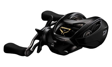 Daiwa Steez SV TW Baitcasting Reels - TackleDirect