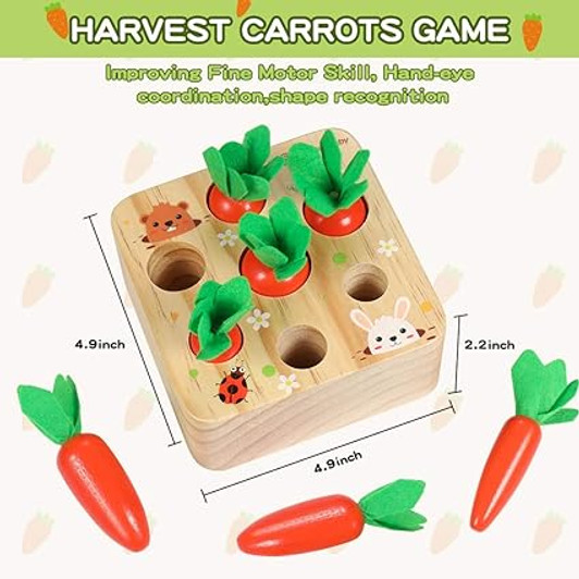 CARROT HARVEST SHAPES SIZE SORTING