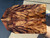 Hawaiian Koa Scales DS104