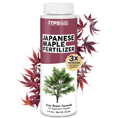 Japanese Maple Tree Fertilizer, Liquid Plant Food for Vibrant Color, 8 oz