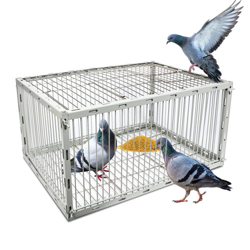 Heavy-Duty Pigeon Trap Cage with Escape-Proof Design – Auto Bird Traps for Large Birds | Iron Powder-Coated Bird Trap Cage for Multiple Pigeons – Rust-Resistant-S Size