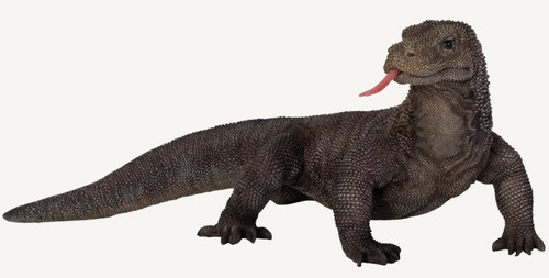 Vivid Arts - Komodo Dragon - PP-KOMO-F