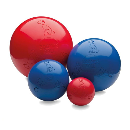 Coachi Boomer Ball for Dogs | 10 inch | Assorted Colours