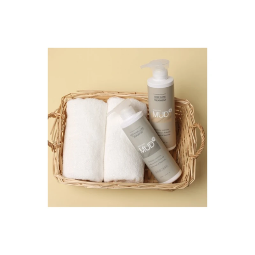 Boryeong Mud Hair Loss Shampoo Treatment Hair Care Gift Set / 보령머드 탈모샴푸 트리트먼트 헤어관리 선물세트