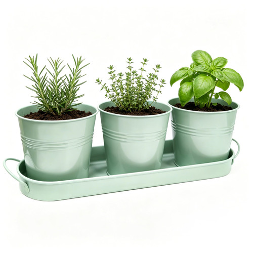 TCBWFY Indoor Herb Garden Planter Set - 3 Pack 4.7" Green Metal Plant Pots with Drainage Holes & Removable Tray - Windowsill Kitchen Counter Balcony Office Garden