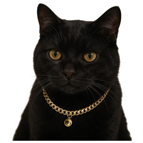 Cwyza Gold Cat Chain Collar with Bell,Small Dog Chain