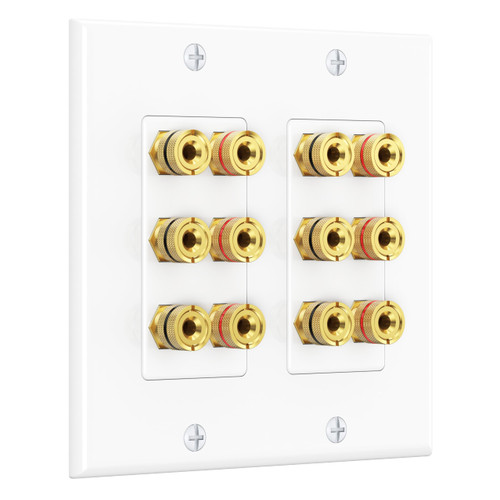 Cable Matters Double Gang Speaker Wall Plate, 12 Posts, 6 Speakers, White