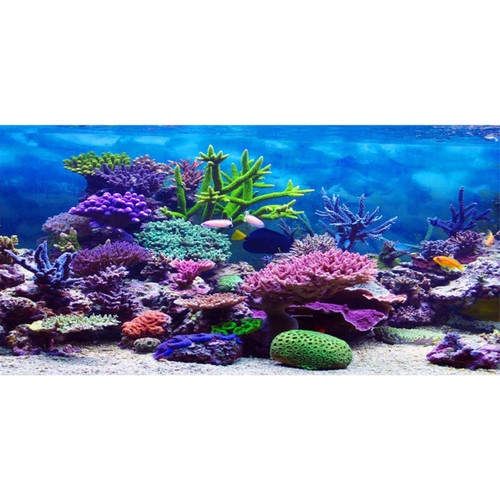 72x24 in Aquarium Backdrop Colorful Coral Tropical Fish Tank Background