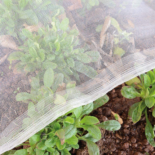 Garden Tailor Garden Netting Bird Net 4x10Ft for Bug Protection