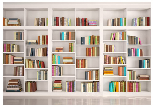 YYNXSY 8X6 FT Bookshelf Backdrop Window Backdrops Background YY-1006