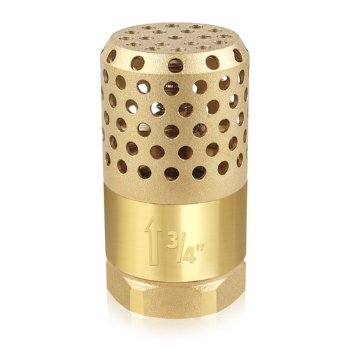 Brass Foot Valve 3/4 inch NPT Heavy Duty Spring Mesh Check Valve Female Connection One Way Foot Valves Backflow Preventer with Holes Strainer Filter for Well Jet Pumps (3/4'' NPT)