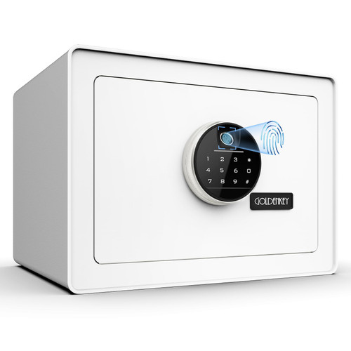 Goldenkey 1.2 Cu.Ft Luxury Fingerprint Safe, Biometric Jewelry Safe Box