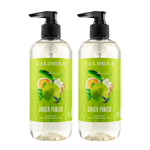 Caldrea Hand Wash Soap, Aloe Vera Gel, Olive Oil and Essential Oils to Cleanse and Condition, Ginger Pomelo Scent, 10.8 oz, 2 Pack
