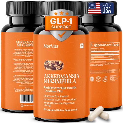Morvits Akkermansia Probiotic for Cravings & Gut Health | GLP-1 Support Supplement with Akkermansia Muciniphila – 2 Billion CFU, Inulin Prebiotic Fiber – 60 Capsules, 1 Pack