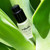 RAYA Vital Silk Serum 509 Multi-Vitamin Serum for Non-Sensitive Skin