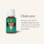 Eucalyptus Radiata Essential Oil 15ml by Young Living Essential Oils