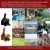 Gull-Cat Bird Deterrent Cat Decoy Device Brown