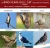 Gull-Cat Bird Deterrent Cat Decoy Device Brown