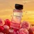 Voyage Nova | Rosey Fruity Floral | Extrait De Parfum 50Ml/100Ml | Long Lasting Luxury Fragrance | Daily Women'S Perfume Rose Vibrant for Women Summervibes Alluring Summerwins