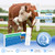 Non-Invasive Bovine Pregnancy Test Kit (2 Pack) - Painless Urine Test for Cattle, Stress-Free Early Detection, Fast Results in 5-10 Mins, Safe & Hygienic for Dairy & Beef Farms