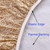 Walrus Round Vinyl Fitted Tablecloth with Flannel Backing Elastic Edge Design Table Cover Waterproof Oil-Proof PVC Table Cloth Stain-Resistant Best for 37"-44" Round