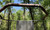 Tree Stand Rail Pads, Shooting Rail Pads - Timber Camo - for Ladder, Tripod and Climbing Tree Stands