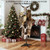 Trophy Tree European Trophy Mount