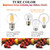 LiteHistory Dimmable G16.5 E26 Bulb,4w=40 watt Light Bulbs,Warm White 2700K