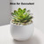 Landscaping Pebbles, River Rocks, Decorative Garden Stones