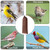 Weewooday 6 Pieces Finch Sock Feeder Thistle Seed 4.7 X 11 in,Brown