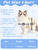Smart Cat Door with 3 Collar Sensor Key, RFID Cat Door Collar Activated with Remote Control, 4 Way Locking Cat Flap Automatic Pet Door Interior & Exterior, Flap Opening is 7.67’’ (H) by 7'' (W)