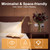 VIHOSE 1 Pcs Clip on Reading Light for Dorm Bed Headboard, Gold