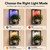 2 Pack Plant Wall Shelf with Grow Light, Wall Mounted Indoor Plant Shelf