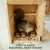 Firmlly Extra Large Outdoor Squirrel House with Upgraded Metal Latch – Wooden Squirrel Nesting Box with Double Rest Platforms, Side Panels, Ventilated Design for Backyard Wildlife