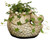 GROWSCAPE Cement Buddies Animal Planter - Cute Desk Decoration - UV Coated Animal Vase w/Removable Drain Plug - Succulent Planter for Indoor/Outdoor Use (Largemouth Bass, Sand, Small)
