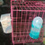 Automatic Pigeon Bird Feeder Water, Plastic Feeder Water Dispenser Drinkers for Cage, No Mess Hanging Parrot Food Feeding, Cage Accessories for Parakeet Quail Bird Chicken (3 Hole - Iron Wire)