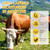 Beef Tallow for Skin, Beef Tallow for Face, Hydrating Tallow Balm with