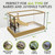 Turtle Aquarium Kit with Basking Platform - Filter and Light for Kids